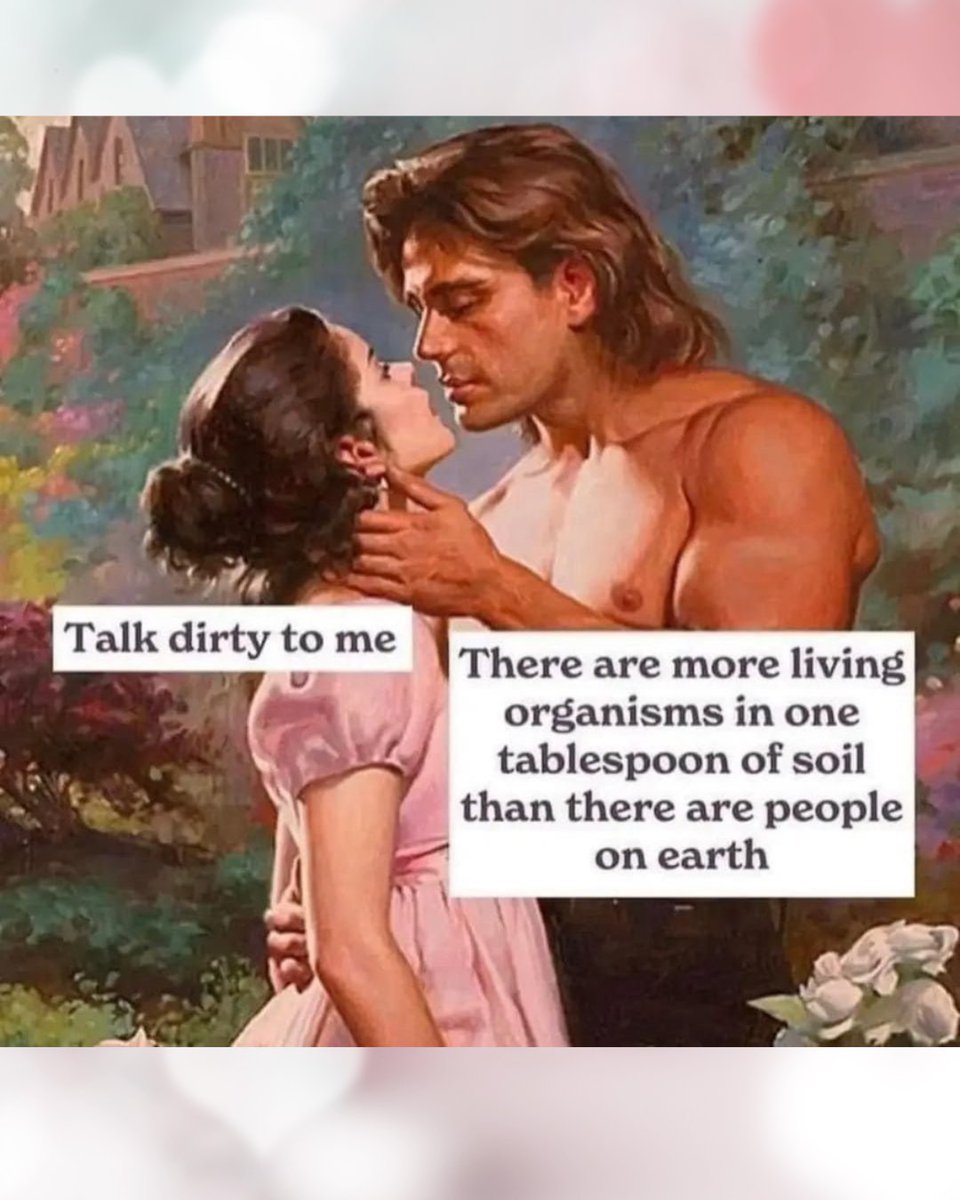 Adam & Eve (@adamandeve) on Twitter photo 