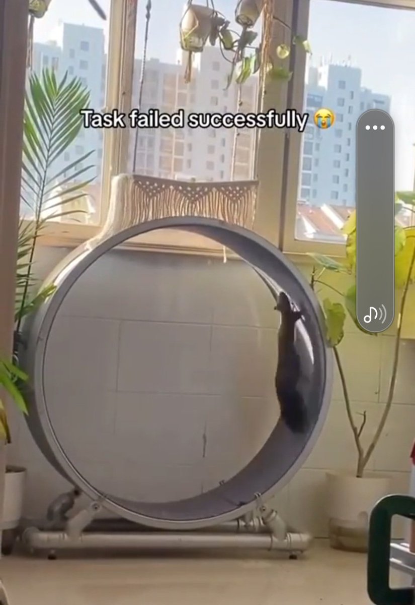 vandul's tweet image. Cookie Post from beyond Our Normal Social Docket imgur.com/gallery/hU2rxnF