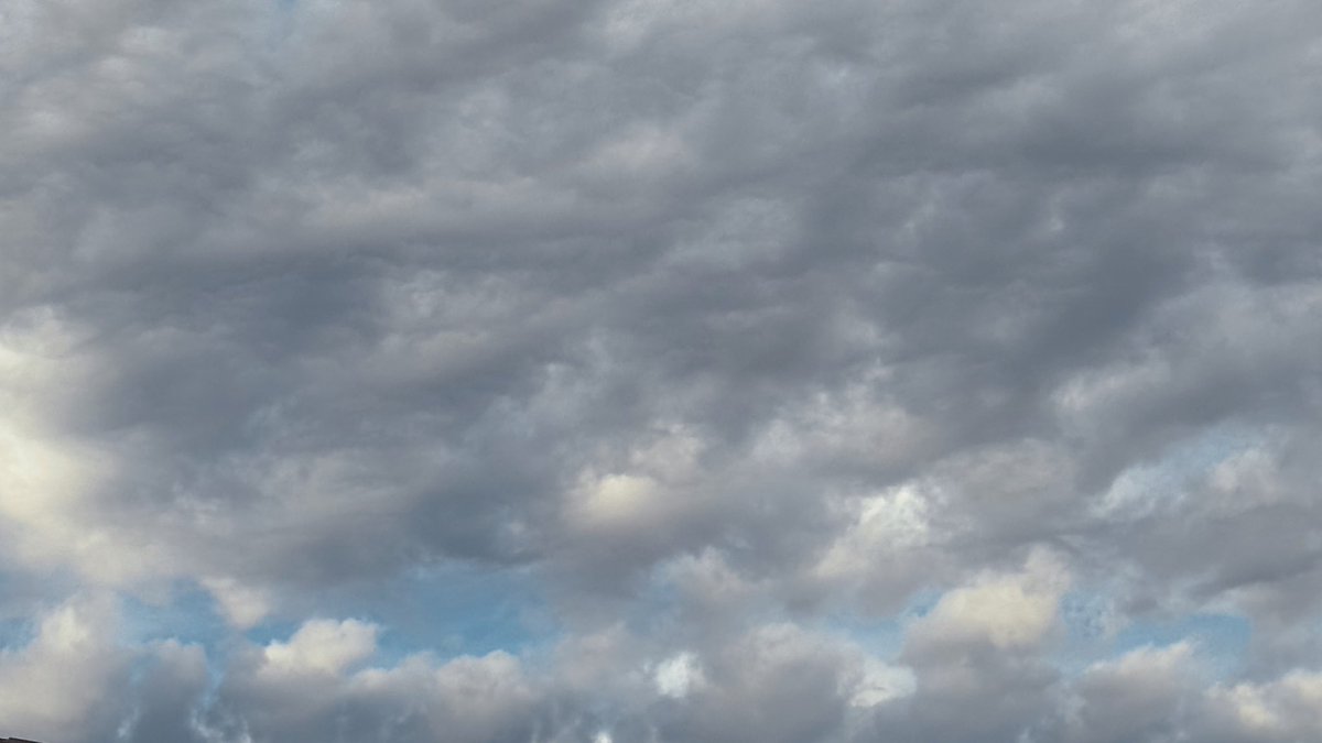 اُسامه | Osama tweet media