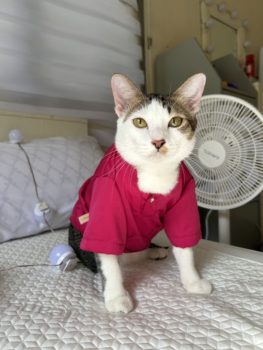 yemmeow's tweet photo. RT untuk Don Pablo, Like untuk Louie Enoki Piccolo https://t.co/gxZNYnbIeJ