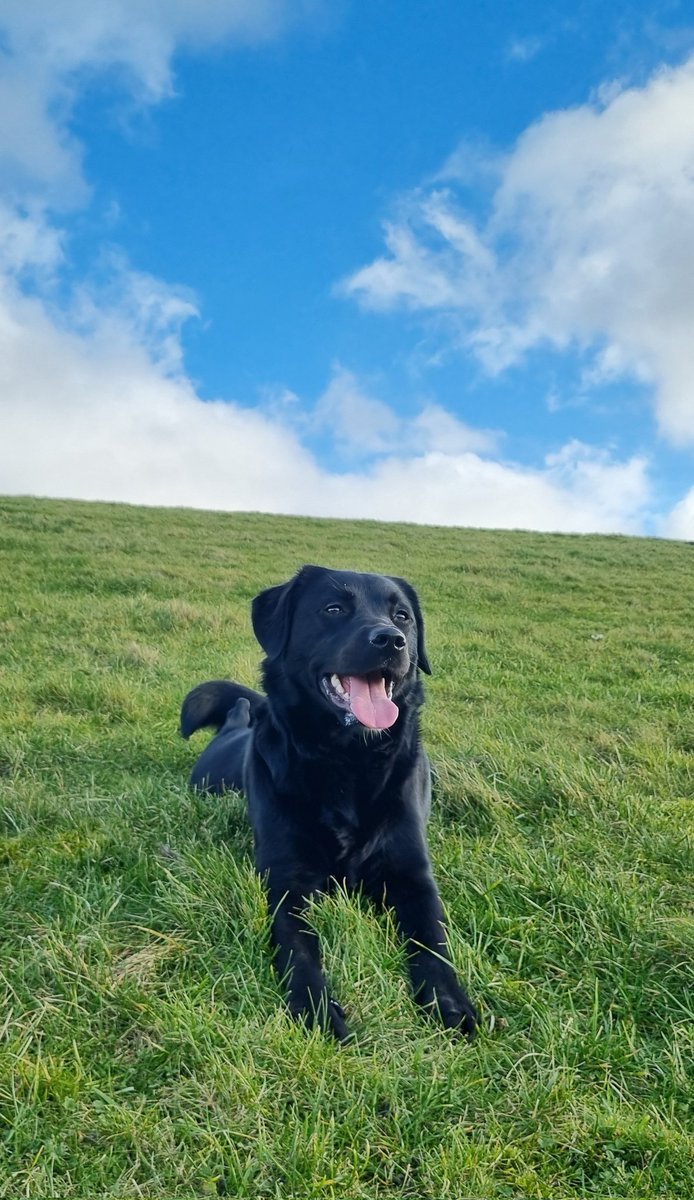 Genieten op de dijk! 😍
