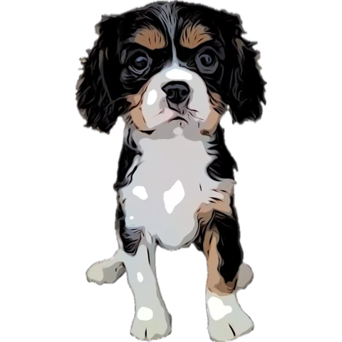 August West (@augustwest420) on Twitter photo 