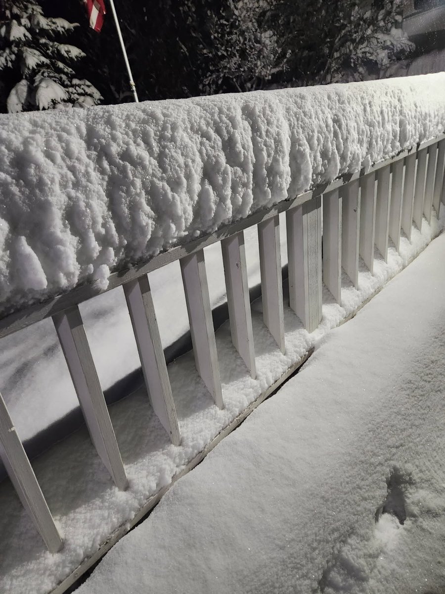 NewsPham's tweet image. Overnight another batch of snow blanketed the Inland Northwest. Here's a look at some viewer photo's. Text us a pic of what it looks like outside your window to 509-448-2000. @KREM2 #UpWithKREM