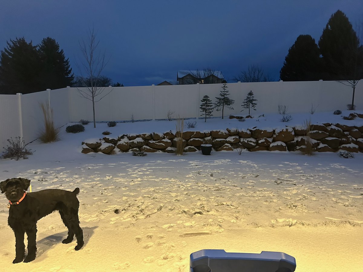 NewsPham's tweet image. Overnight another batch of snow blanketed the Inland Northwest. Here's a look at some viewer photo's. Text us a pic of what it looks like outside your window to 509-448-2000. @KREM2 #UpWithKREM