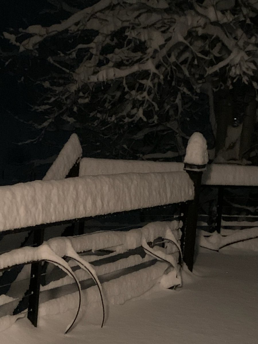 NewsPham's tweet image. Overnight another batch of snow blanketed the Inland Northwest. Here's a look at some viewer photo's. Text us a pic of what it looks like outside your window to 509-448-2000. @KREM2 #UpWithKREM