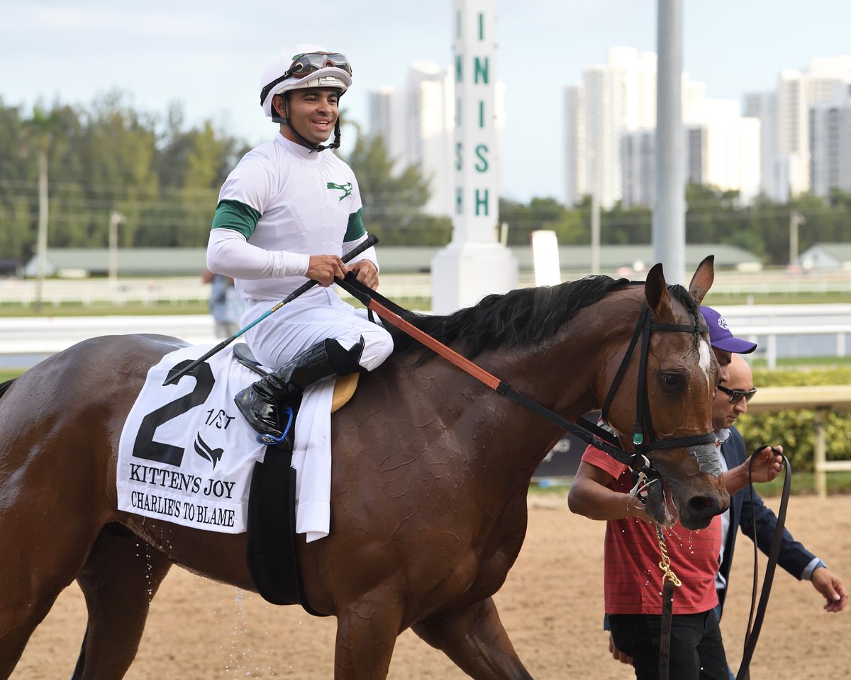 Equibase's tweet photo. Huge congratulations to LUIS SAEZ on earning @JockeysGuild Jockey of the Week 1/27-2/2! 🏆

@luissaezpty had 10 wins from 29 starts last week (34%), and rode 62% ITM with $565,945 in earnings! He had more wins and earnings than any jockey in North America last week. 

Saez took 4 trips to winner's circle on Saturday at @GulfstreamPark, including wins in the Kitten's Joy Stakes aboard Charlie's to Blame and the G3 Forward Gal Stakes aboard Eclatant! 

Check out his jockey profile on Equibase for all career statistics and achievements:
https://t.co/qdhTGZD9ID

Photo Credit: Coglianese/@RyanFromChicago