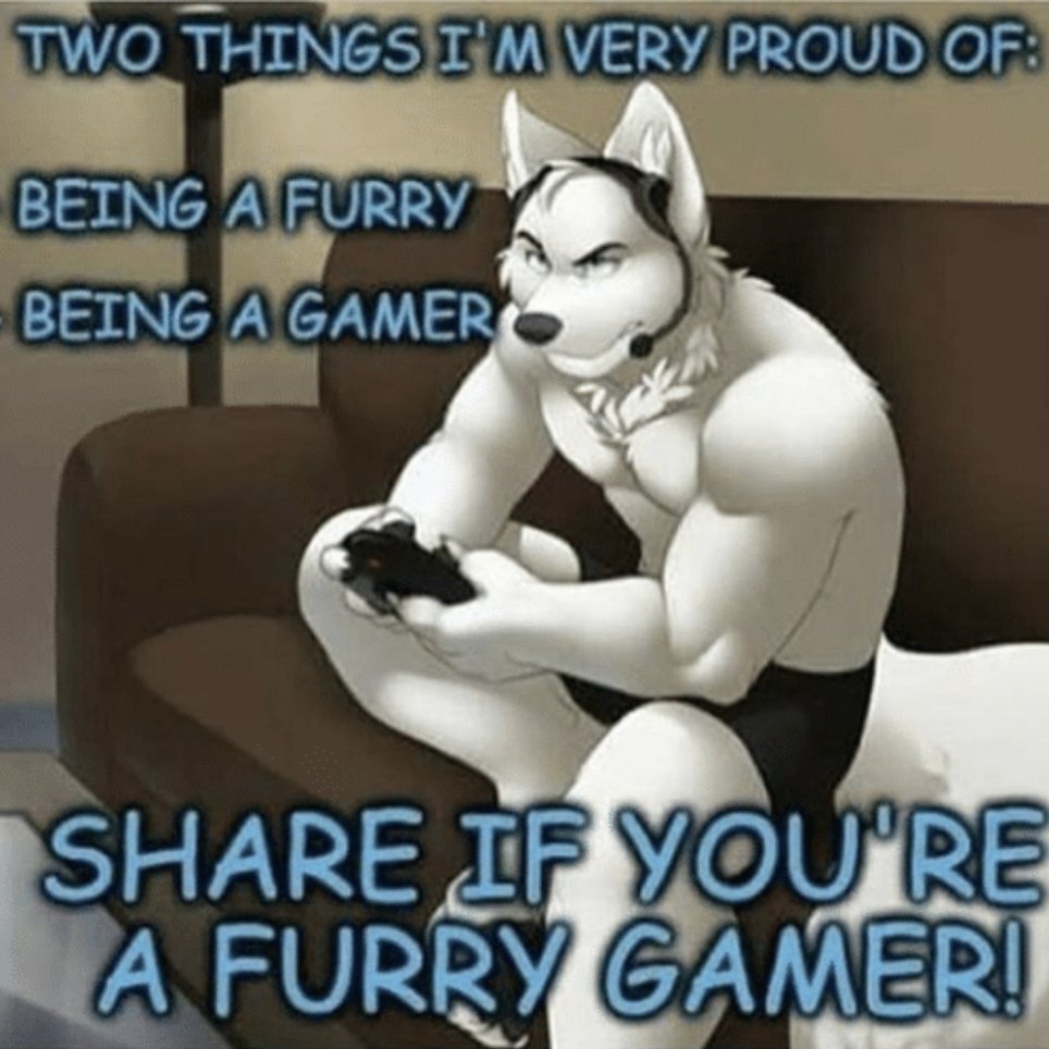 WokeFurry69 tweet media