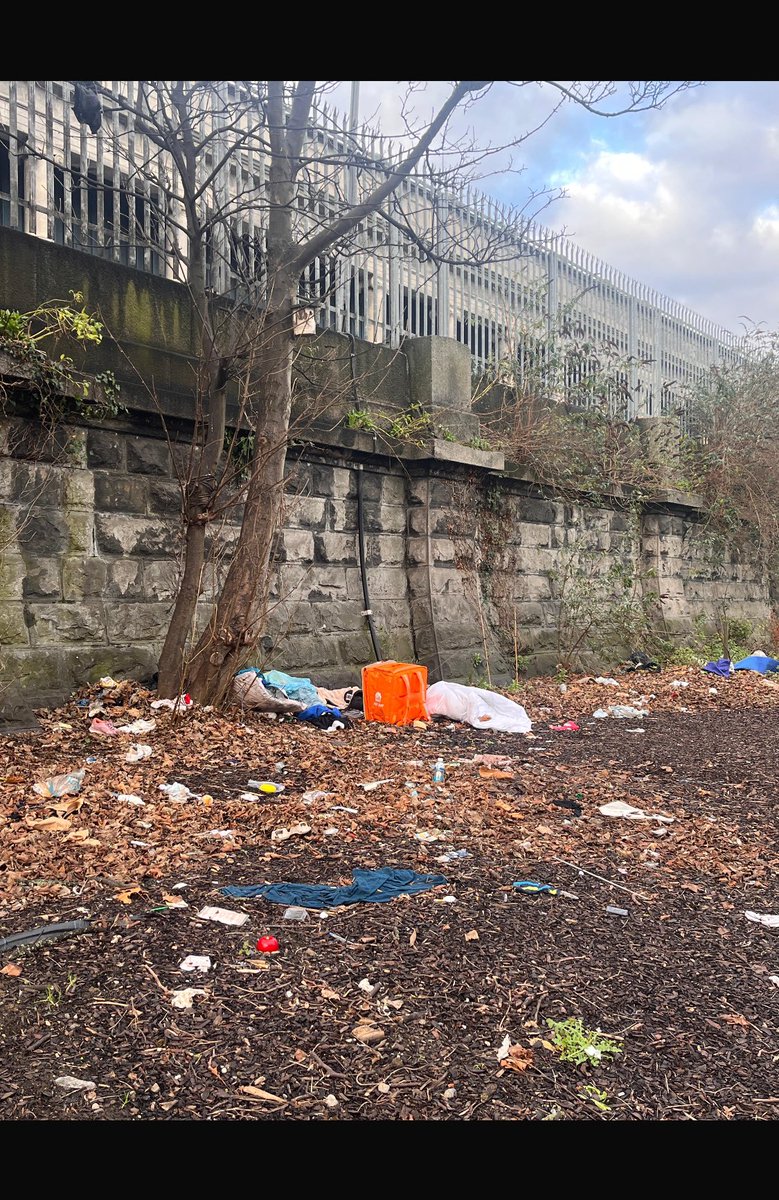 Rob McGrath tweet media