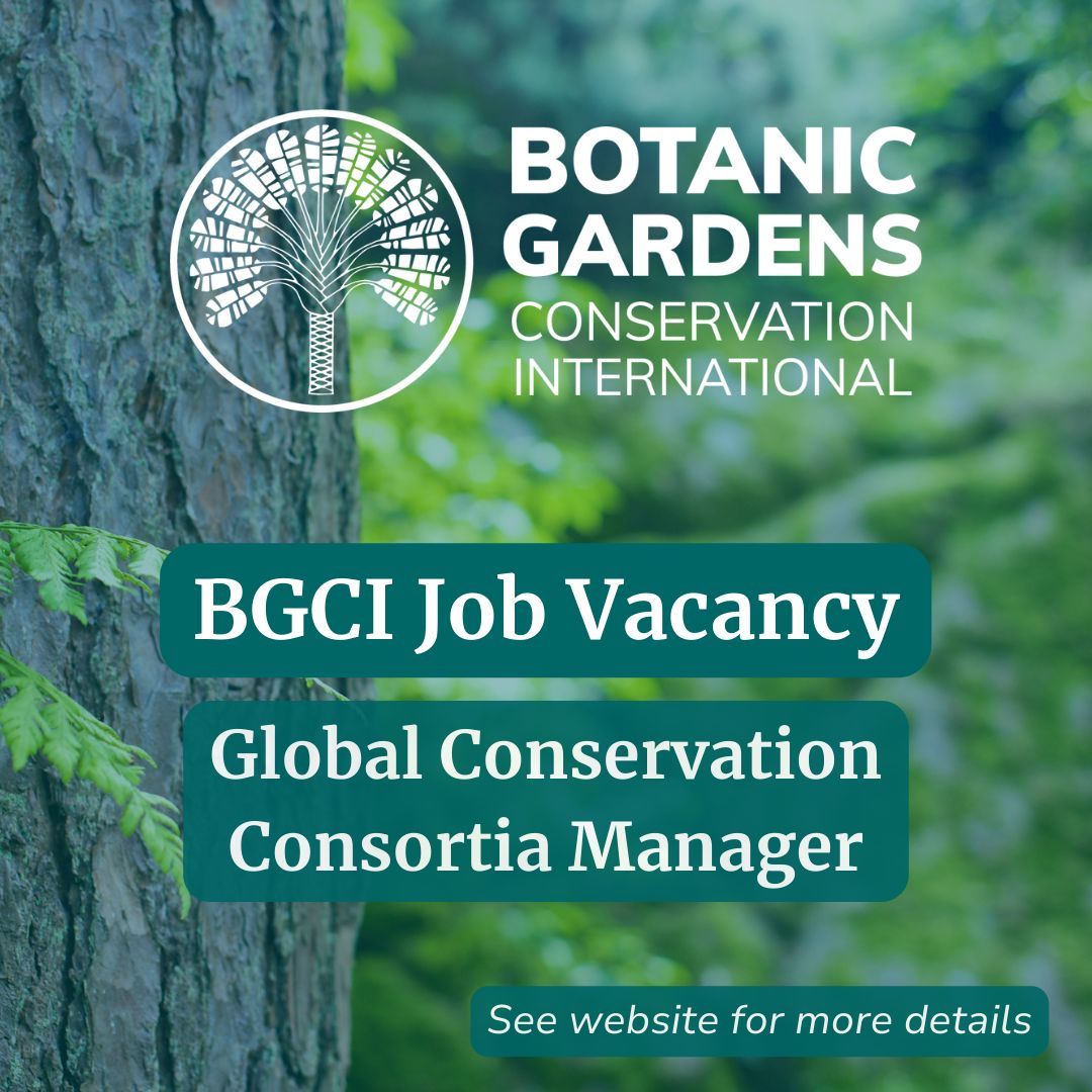 Join our team! BGCI is looking for a Global Conservation Consortia (GCC) Manager who will coordinate and support delivery of the consortia activities. The closing date for applications is February 18. Learn more and apply now! buff.ly/40IhWU6
 #ConservationJobs