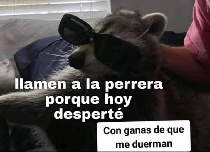 Anyone (@anyxne) on Twitter photo 