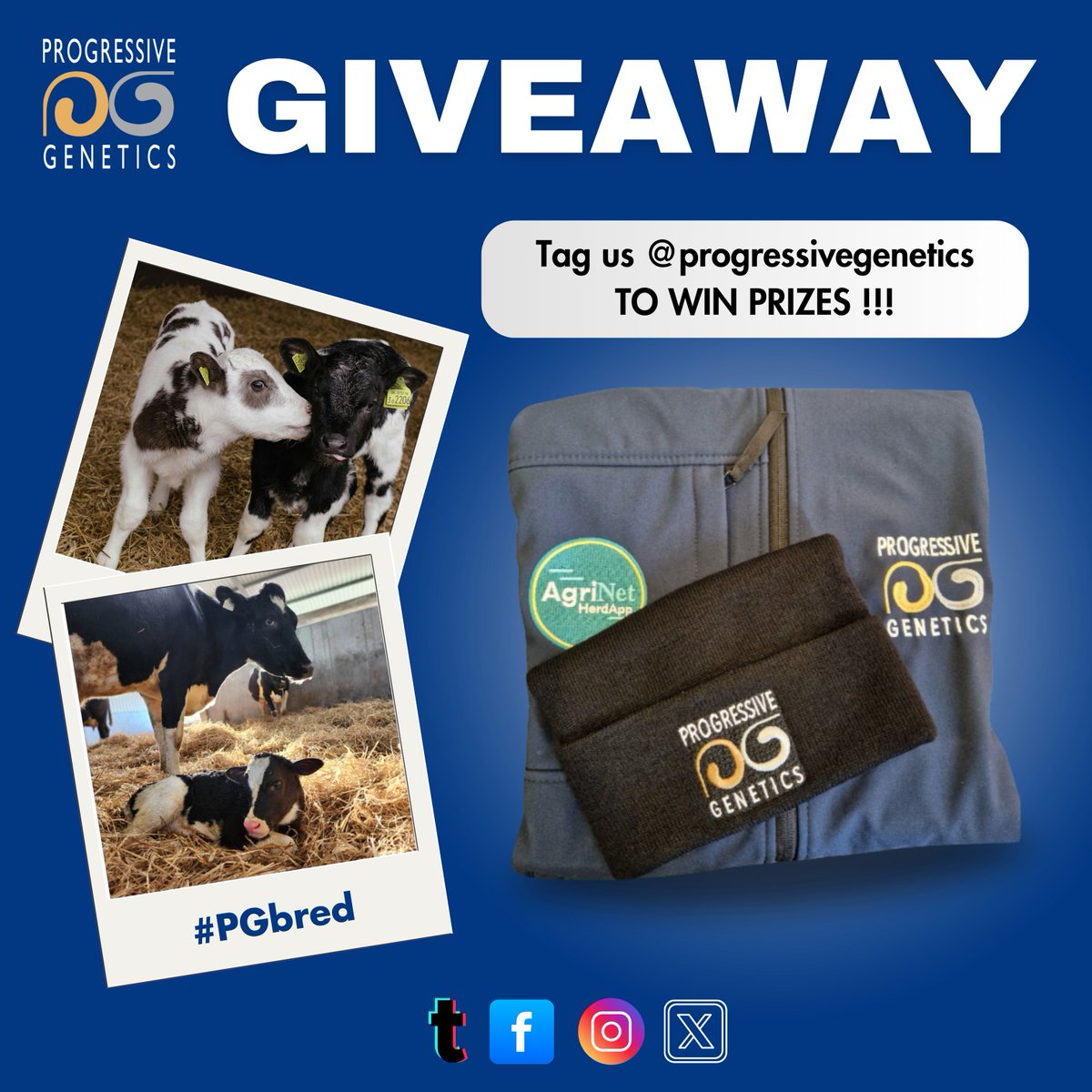 progressivegen's tweet photo. We're excited for another calving care package giveaway! π Share your best calving photos/videos of Progressive Genetics bred calves and tag us to win fabulous prizes! ππΈ #PgBred #ProgressiveGenetics #Calving2025 https://t.co/cGR1lp9o7X