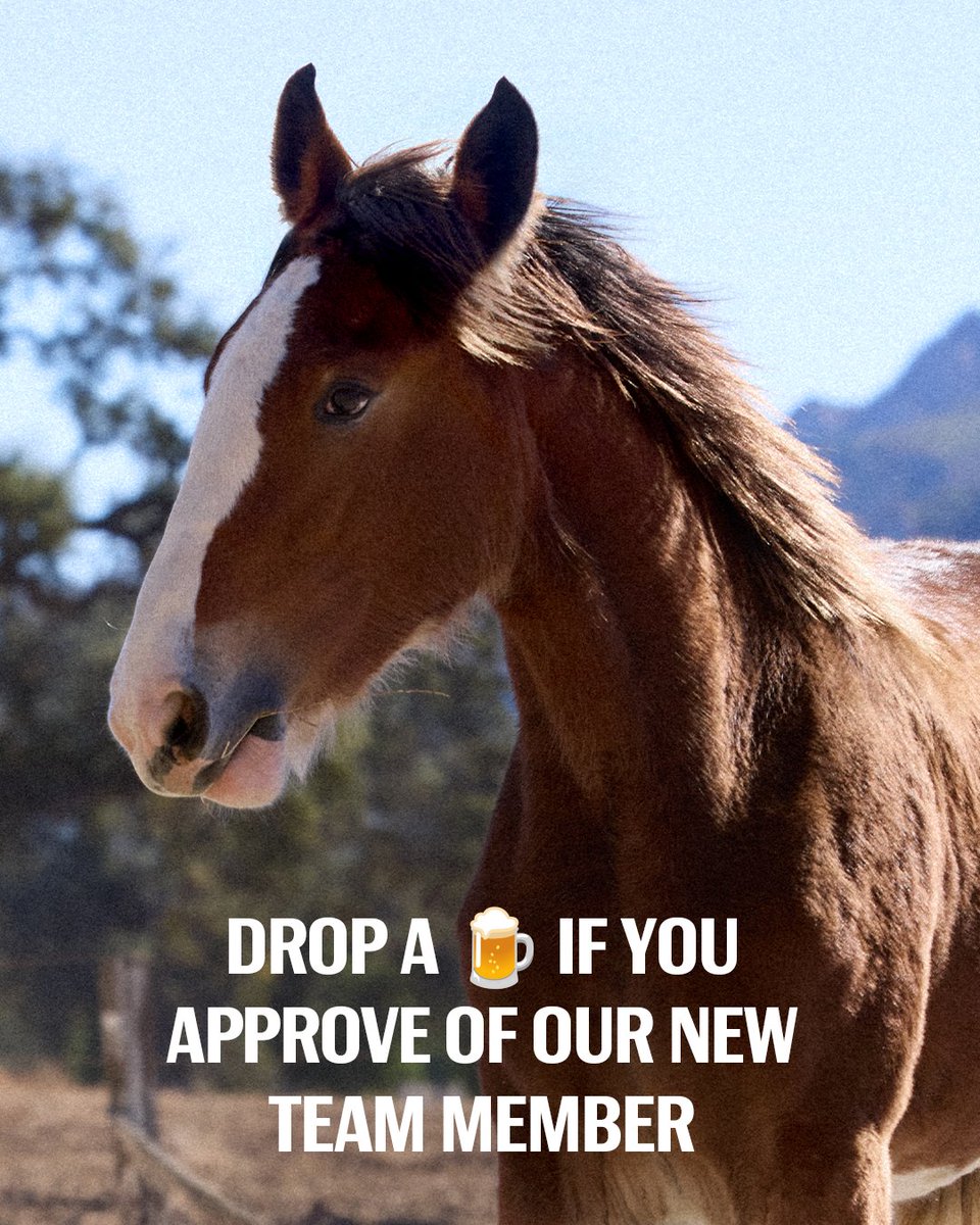 Budweiser tweet media