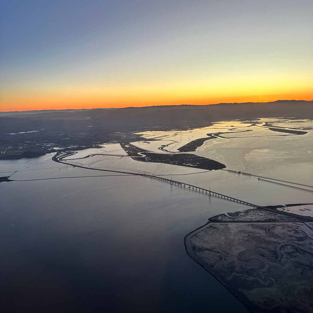 finally aligned 
wading in waist-high water
summer all over

#shore #haiku #3lines #micropoetry #ZOF