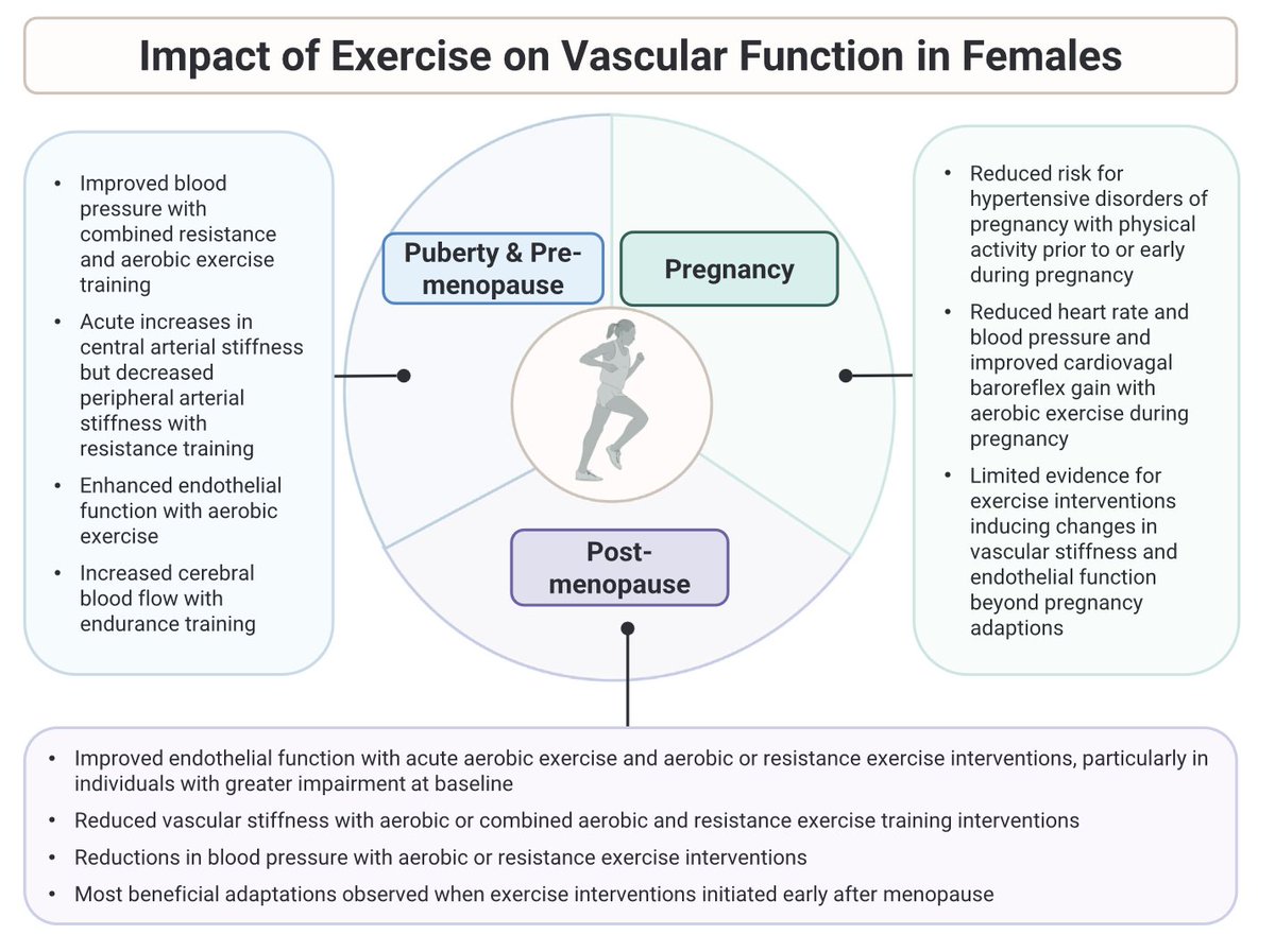 a_garciahermoso's tweet photo. Las hormonas 📉📈 afectan la salud vascular femenina 🫀. El ejercicio 🏃‍♀️💪 reduce el riesgo cardiovascular ❤️, pero sus efectos varían según los cambios hormonales #SaludFemenina #Ejercicio

🆓https://t.co/lXQ0M6eHeY https://t.co/UXQHef0nIW
