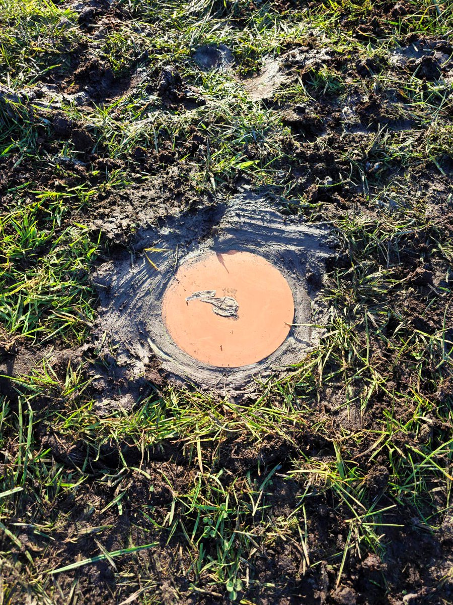 Busy week for the <a href="/DTECT_IE/">D-TECT Project</a> team!

📌 visited one of our sites in Co Offaly
📌 started dipwell installations for #watertable measurements
📌 processed #drone #LiDAR data for drain mapping

Really exciting as we collect more data in the coming months! 

#agriculturalpeatsoils