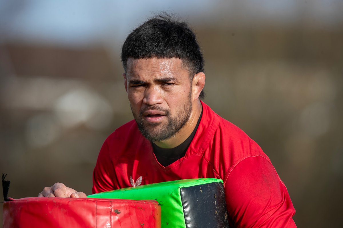 Scarlets Rugby tweet media