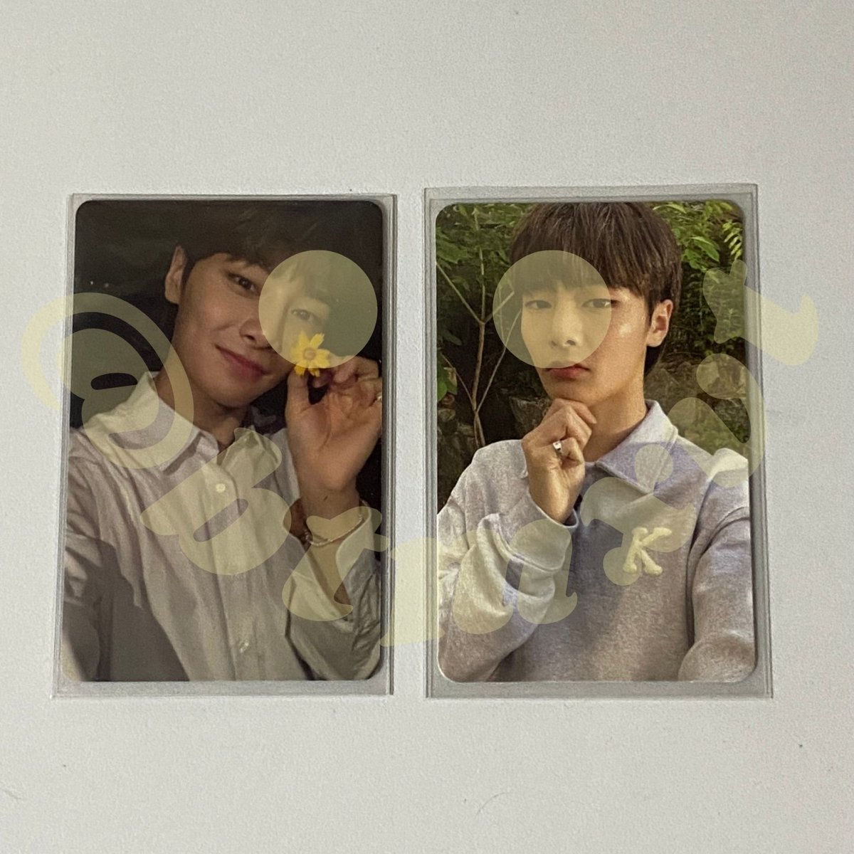 btmxvt's tweet photo. [ wts lfb lf ph ]

— stray kids i.n. noeasy + pob pc 

>₱200
>onhand, official
>PAYO

reply/dm

mod: j&amp;t
mop: maya

📌 skz jeongin in album random photocard back to back b2b https://t.co/ql28wLO46y