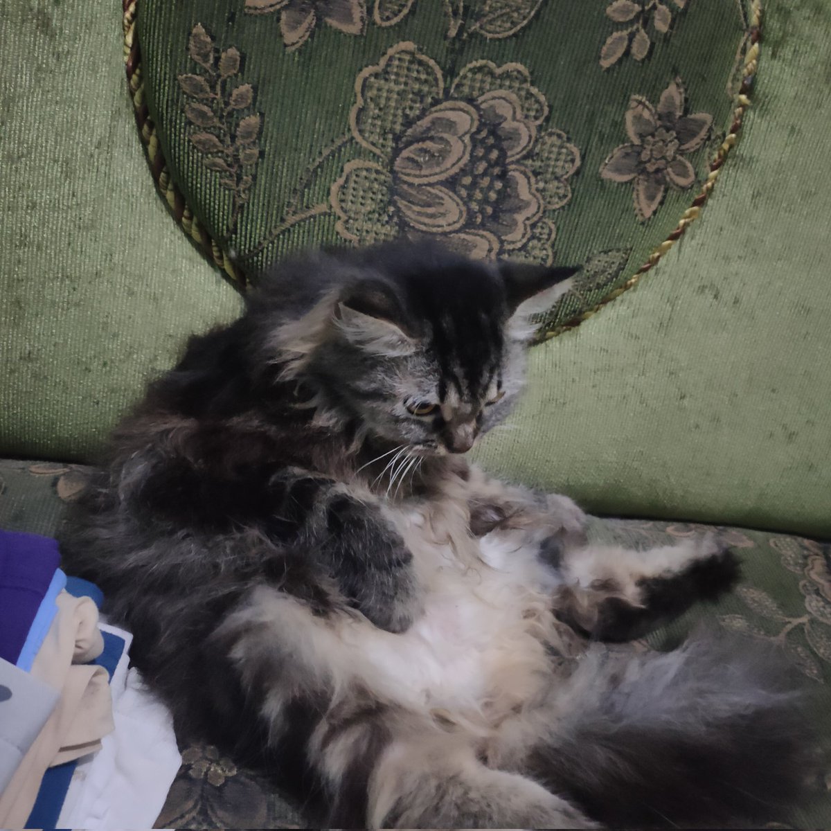 Kasian dia merajuk ngga di ajak jalan wkwk