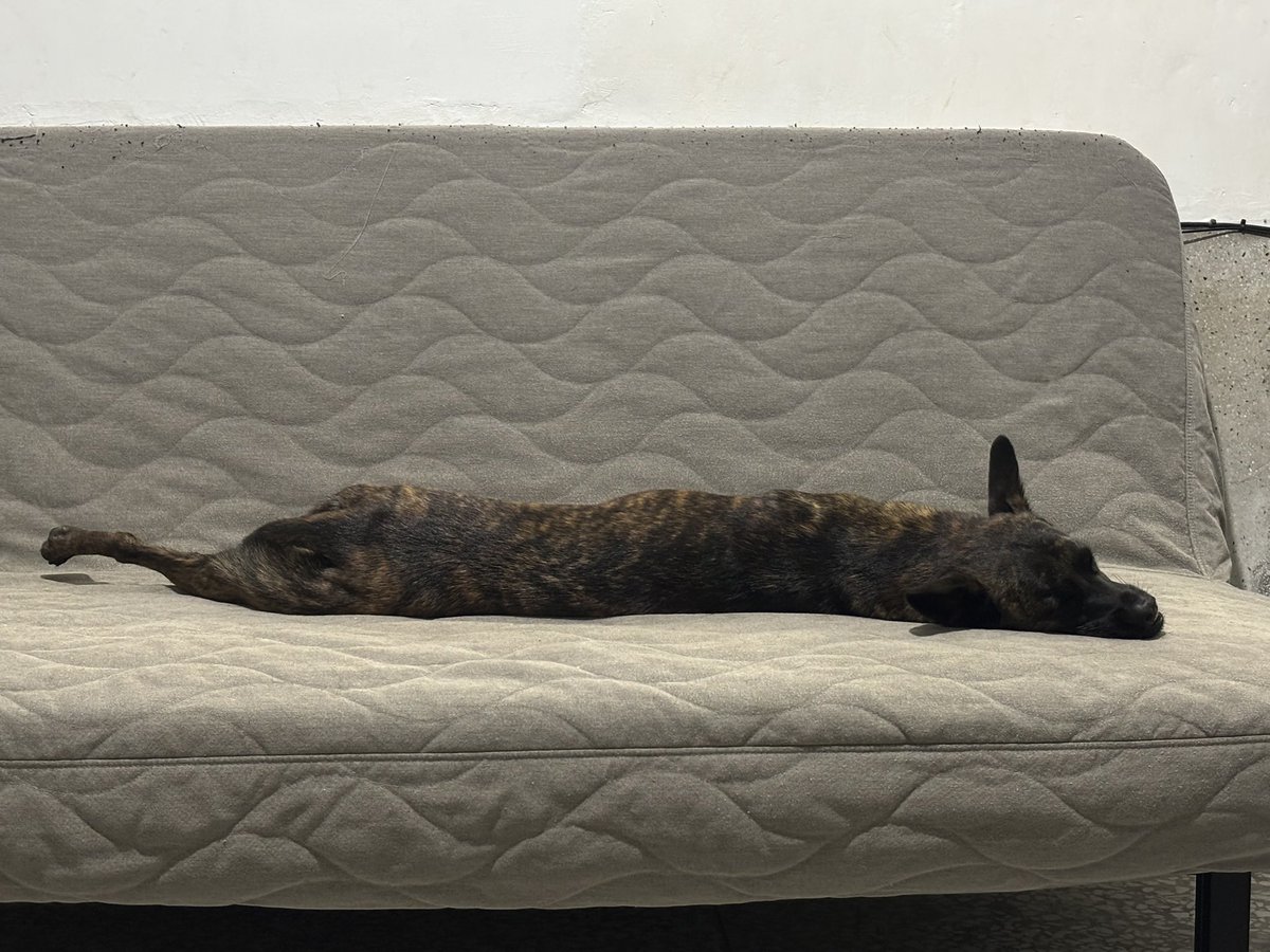 2025是學會放下自己無法控制的事專注在自己身上