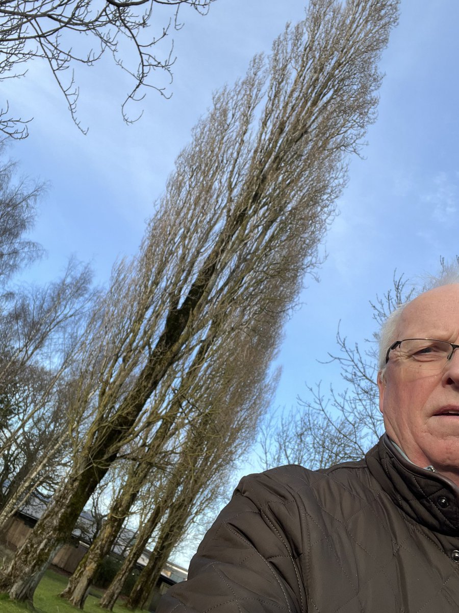 Peter Whyley tweet media
