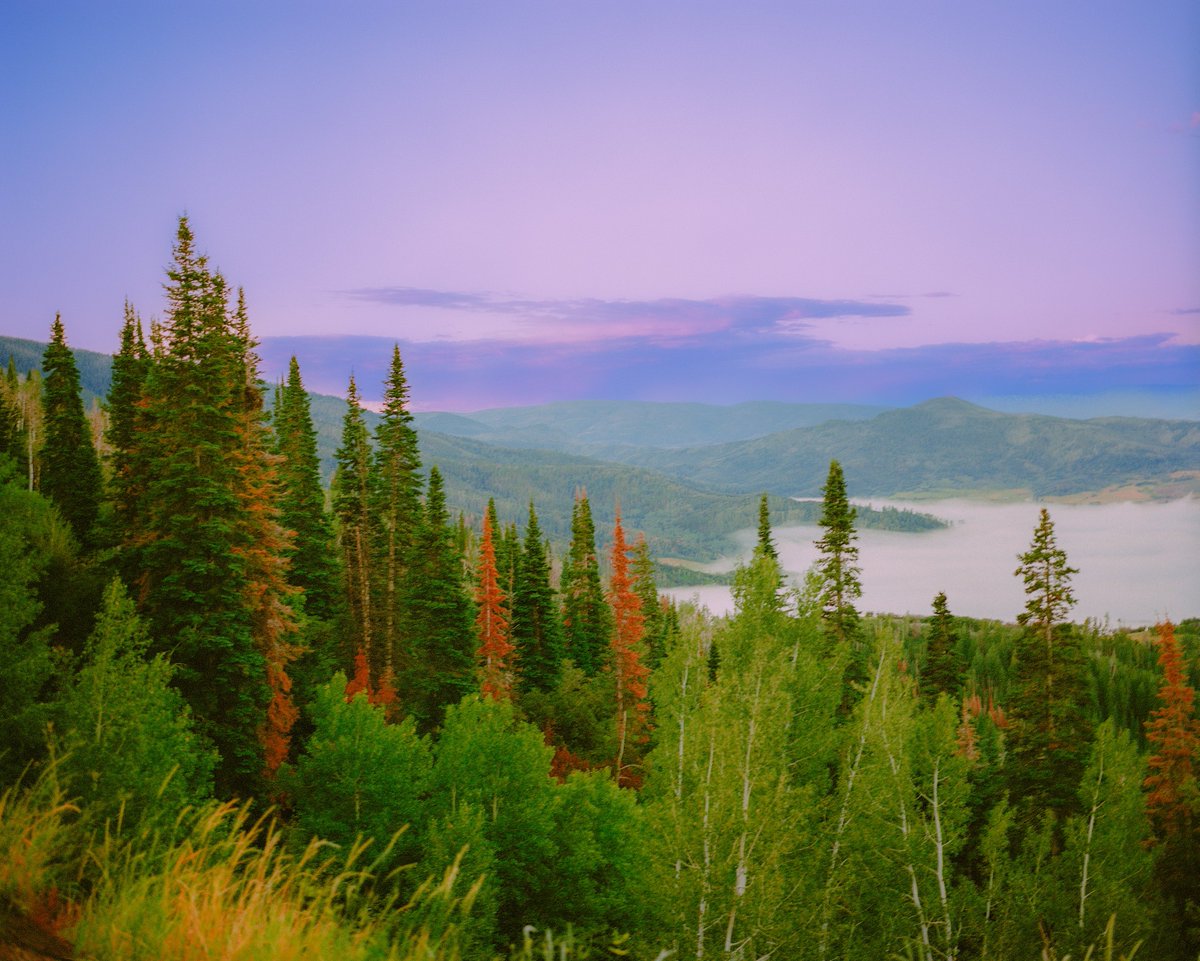 Fading into the night