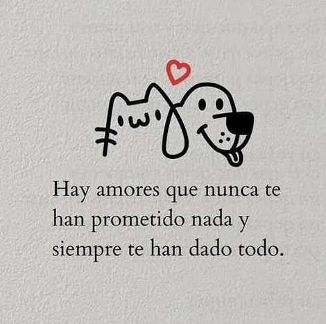 Perrosenlacalle's tweet photo. De todos los amores, el mejor.... https://t.co/tFZ49BGoAD