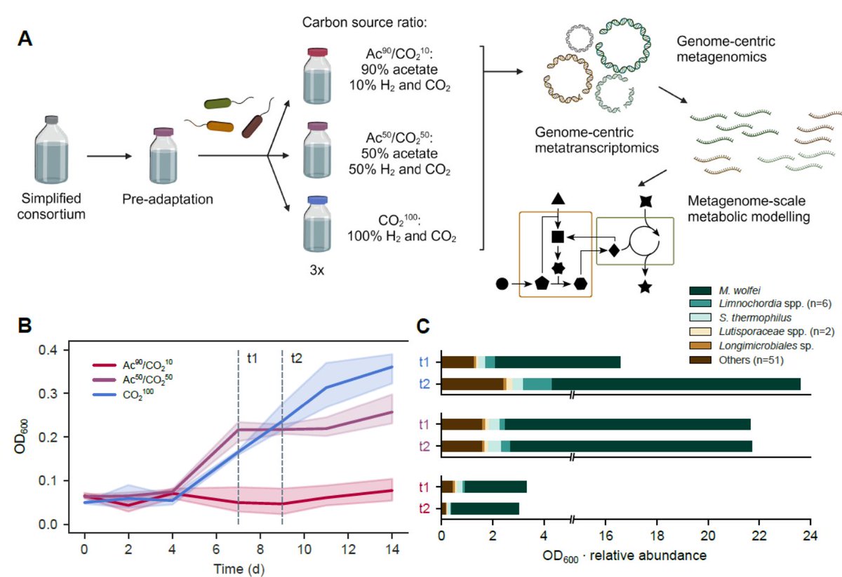 stefano campanaro (@campanarostef) on Twitter photo Our paper is out in <a href="/ISMEJournal/">The ISME Journal</a>! We used multi-omics and constraint-based #modelling to identify cross-feeding in a low-complexity #CO2-fixing #anaerobic #microbiota – congrats to the authors <a href="/guido_zampieri/">Guido Zampieri</a> <a href="/LauraTreu/">Laura Treu</a> – <a href="/LIFE_CO2toCH4/">LIFE CO2toCH4</a> <a href="/DiBio_UniPD/">Department of Biology – University of Padova</a> doi.org/10.1093/ismejo… Our paper is out in <a href="/ISMEJournal/">The ISME Journal</a>! We used multi-omics and constraint-based #modelling to identify cross-feeding in a low-complexity #CO2-fixing #anaerobic #microbiota – congrats to the authors <a href="/guido_zampieri/">Guido Zampieri</a> <a href="/LauraTreu/">Laura Treu</a> – <a href="/LIFE_CO2toCH4/">LIFE CO2toCH4</a> <a href="/DiBio_UniPD/">Department of Biology – University of Padova</a> doi.org/10.1093/ismejo…