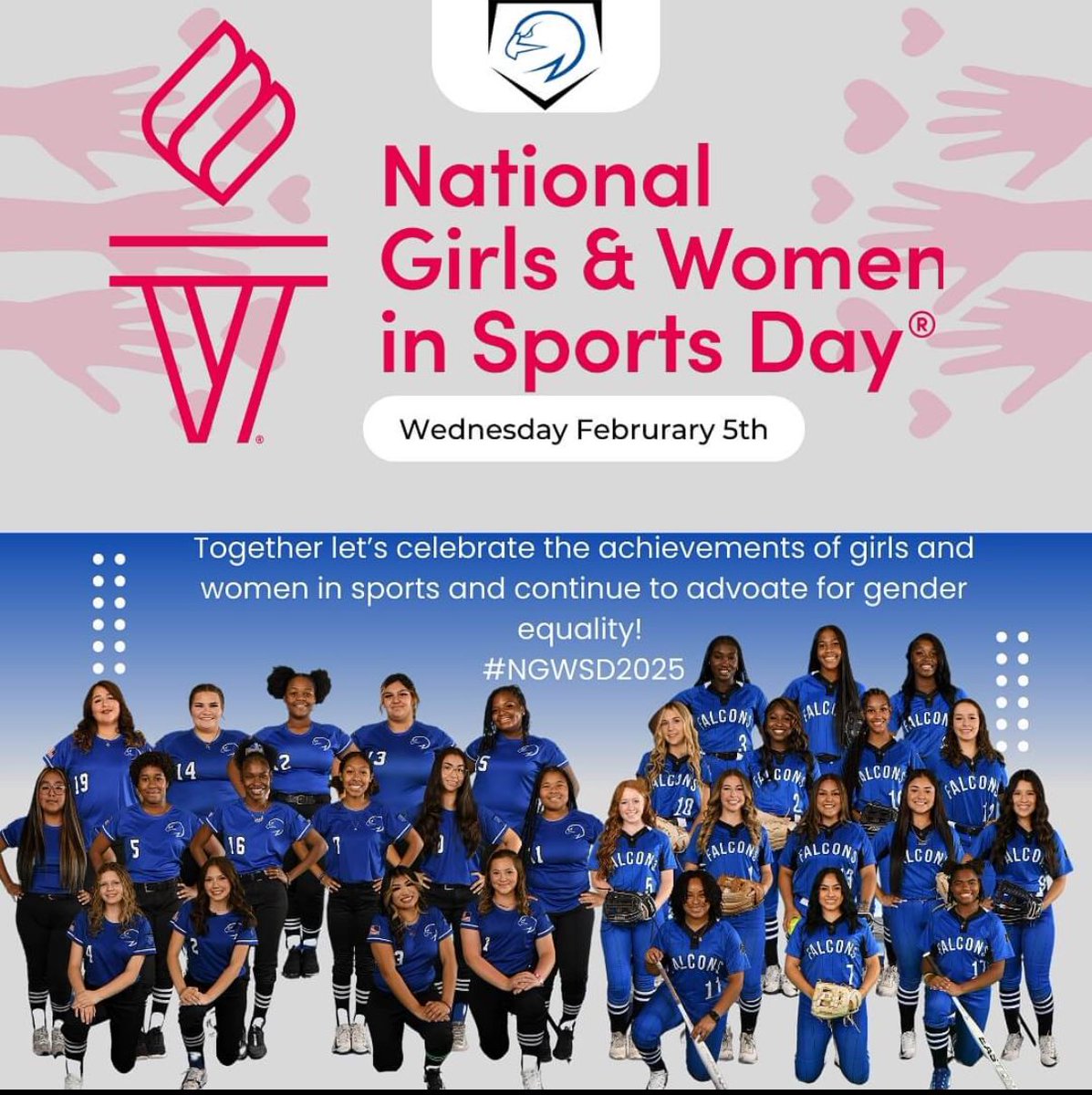 North Forney Lady Falcons Softball tweet media