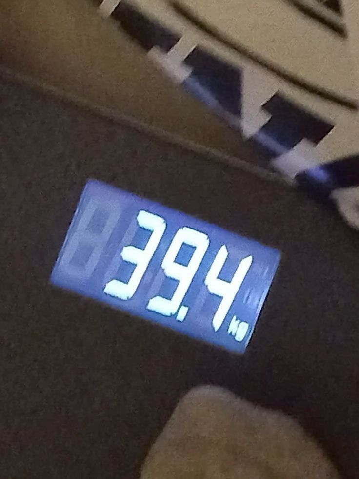 ih8mylyfkmn's tweet photo. Skinny habits that got me to my lw (bmi 14.6) 🦢🪽

A #edtwt 🧵

Rt &amp; like to INSTANTLY lose 10kg!!☁️☁️ https://t.co/mcDAPUfpJn