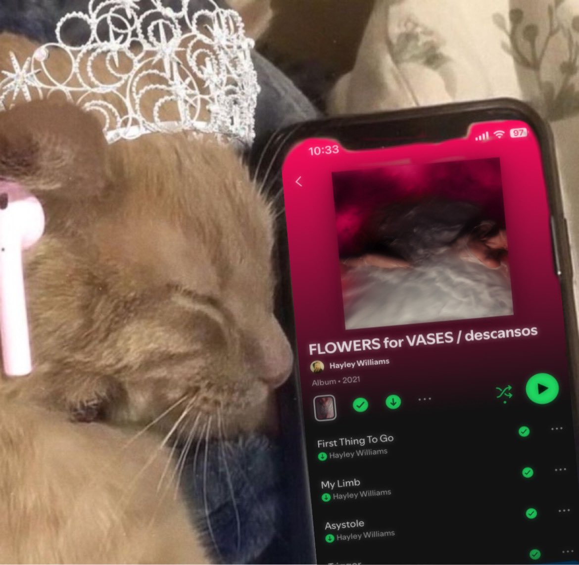 yelyussy's tweet image. 