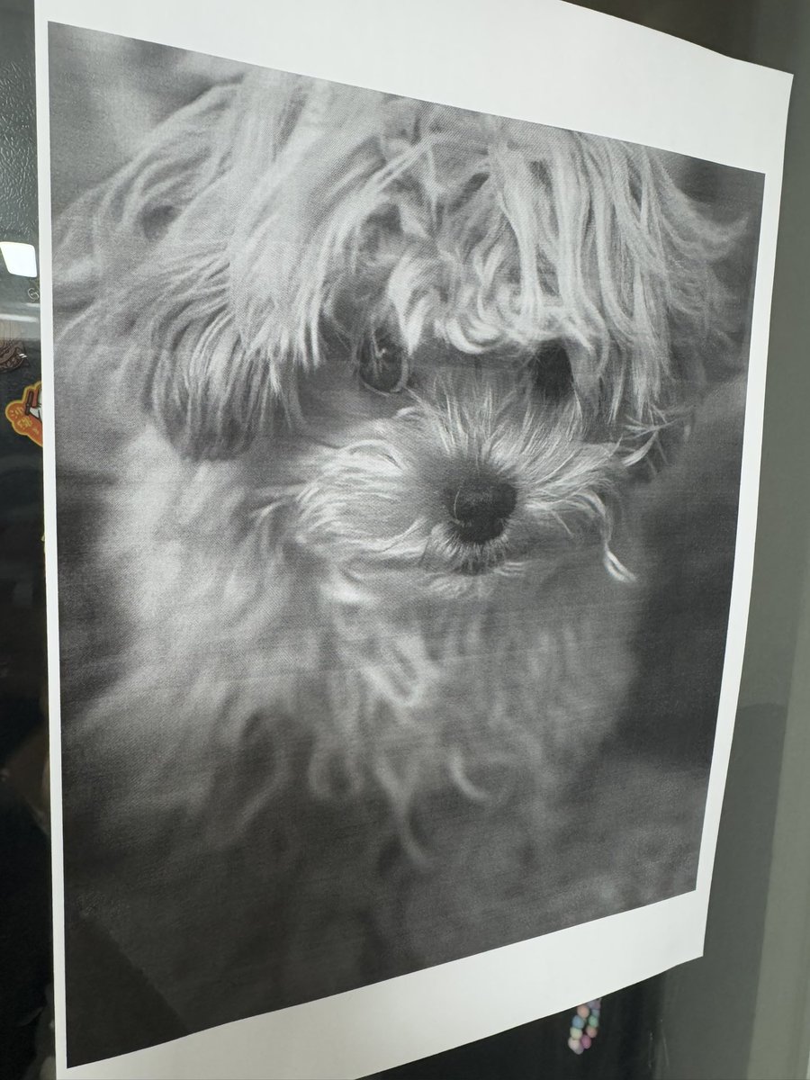 프린터 구매 테스트