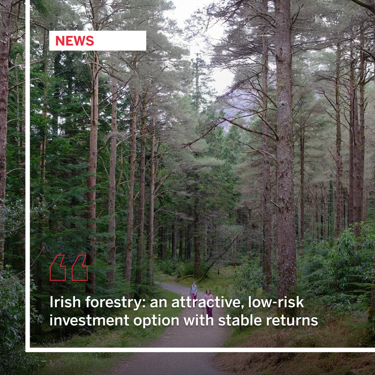 As seen in The Irish Times, Irish forestry: an attractive, low-risk investment option with stable returns ow.ly/VGsG50UTSeU

For further details contact our expert Thomas Byrne. 

#forestry #forestryland #forestryinvestment