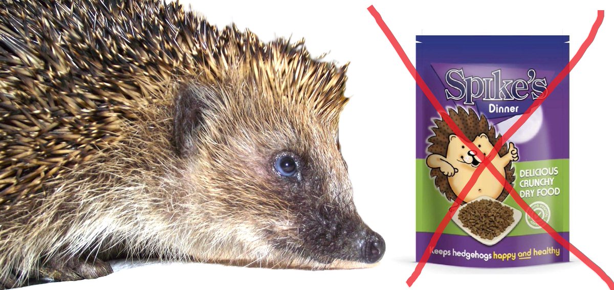 C̳a̳t̳ ̳f̳o̳o̳d̳ ̳v̳e̳r̳s̳u̳s̳ ̳'̳h̳e̳d̳g̳e̳h̳o̳g̳ ̳f̳o̳o̳d̳'̳.̳

It would be impossible to replicate a hedgehog's natural diet, and pointless trying.
What they need from us is a source of complete and balanced nutrition - meaning a food which contains all the ingredients that a