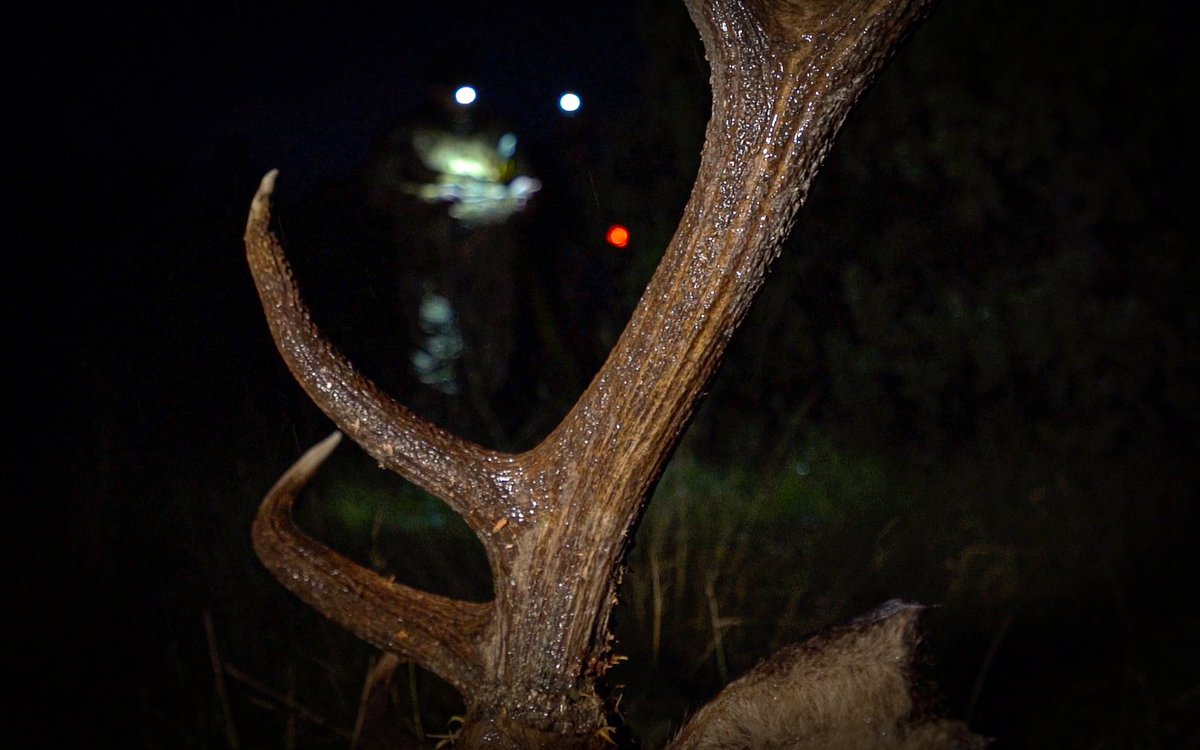 Happy -#wapitiwednesday paying respect on a rainy September night🙏🏼🏹