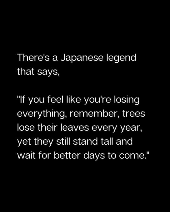 TheVivekSinghal's tweet image. Remember this if you are an equity trader.