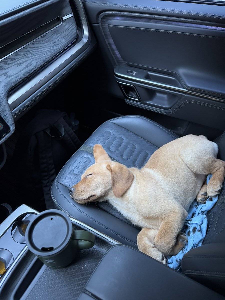 Casey Gaynor tweet media