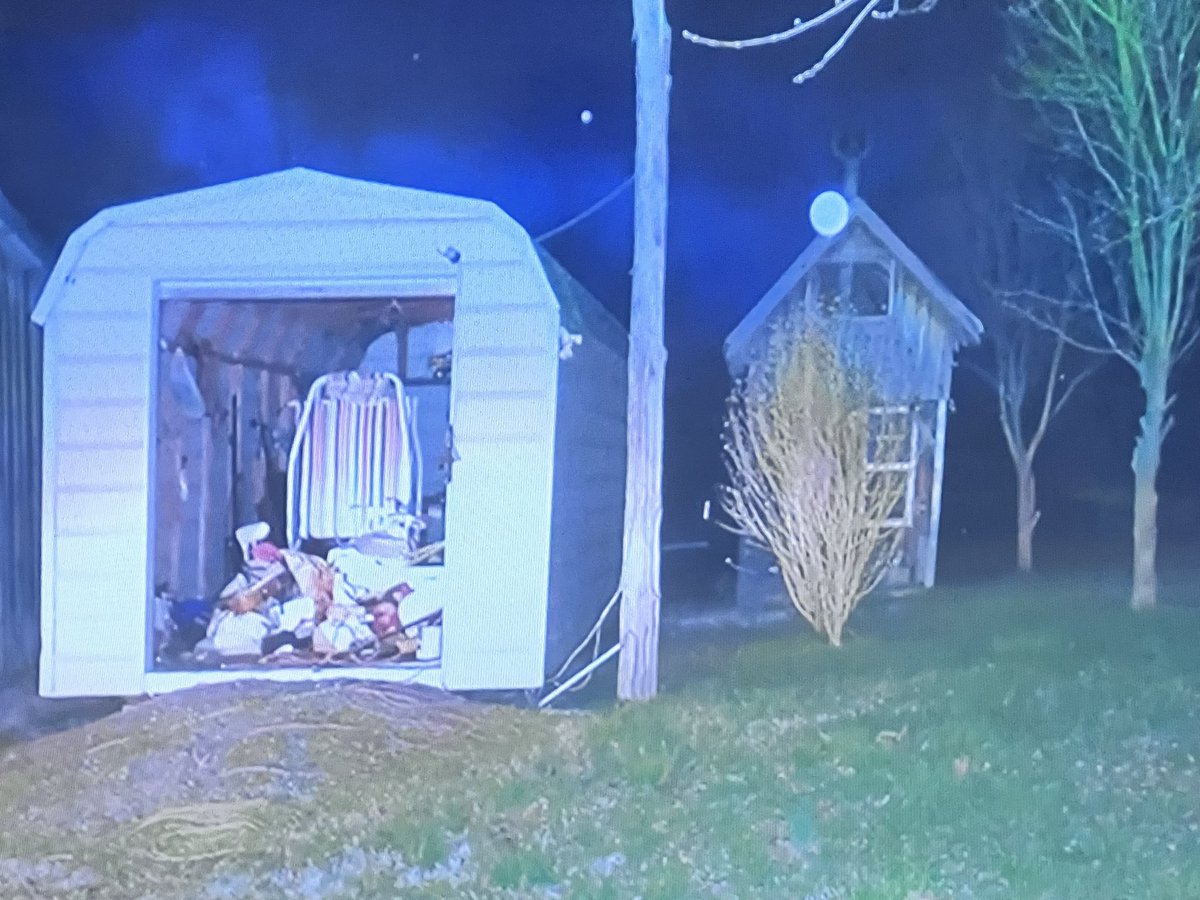 Picture shown in court. TBI agent testified Evelyn Boswell’s body was found in the small brown building behind the bush.