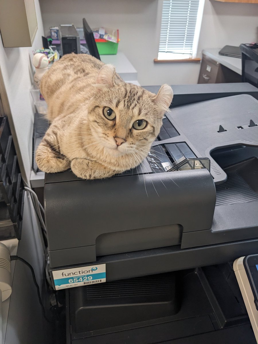 YoorDaddy's tweet photo. @SpeedSportLife Desk, box, copier, you just never know where they'll be. https://t.co/IUtqgLIU6K