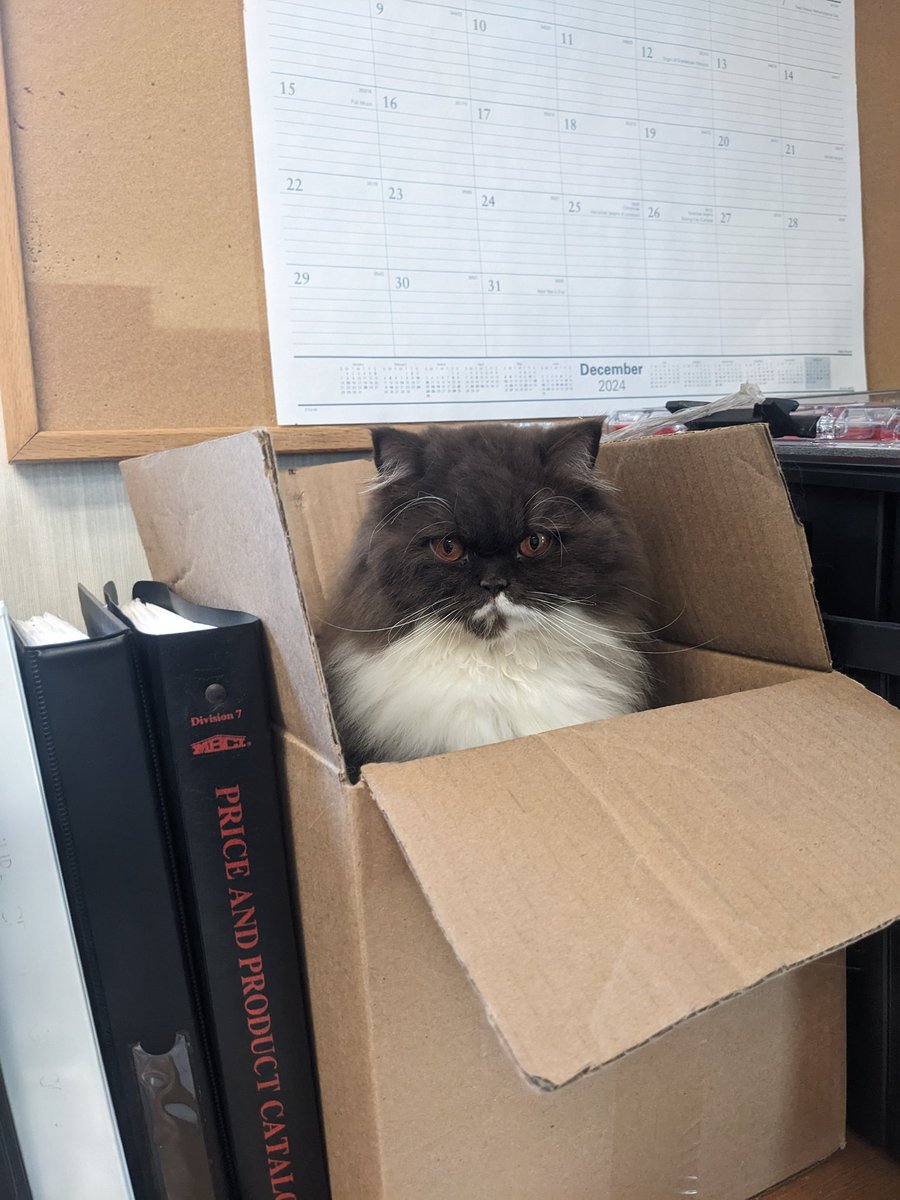 YoorDaddy's tweet photo. @SpeedSportLife Desk, box, copier, you just never know where they'll be. https://t.co/IUtqgLIU6K