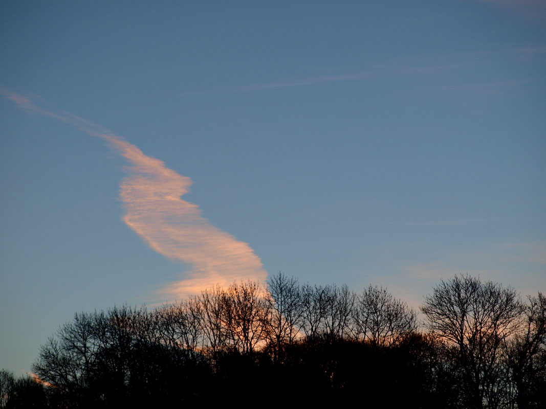 ein letzter Flügelschlag vom Schutzengel der Nacht in der aufgehenden Sonne