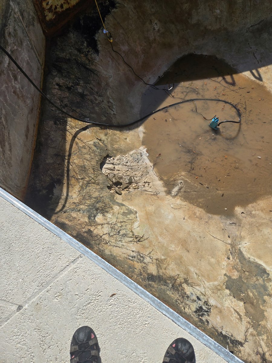 ppalmpools's tweet image. We had a fantastic time bringing life back into a customer&apos;s pool with a Coventry Cobalt Fusion vinyl liner from Latham Pools. Added new Hayward trim and faceplates for a polished look. Now it&apos;s fresh and like new! #HomeImprovements #PoolTransformation  Temple Terrace FL