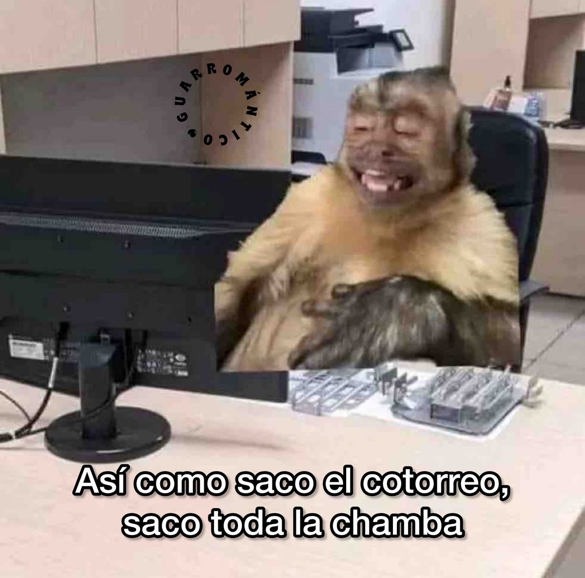 El Guarromántico tweet media