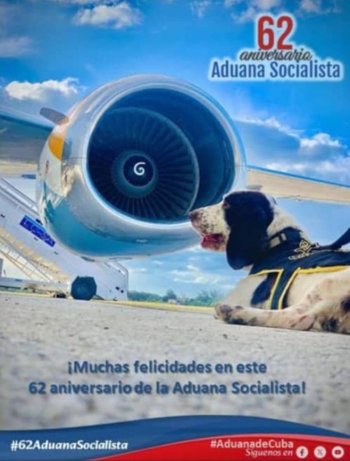 Armand2ARPrado's tweet photo. #5DeFebrero arriba la Aduana Socialista a su #62Aniversario, fiel centinela de la seguridad nacional, la tranquilidad ciudadana y la seguridad aérea internacional, cumpliendo los estándares internacionales con un servicio de excelencia. #AduanadeCuba #62AduanaSocialista https://t.co/rWiHMZSfQU