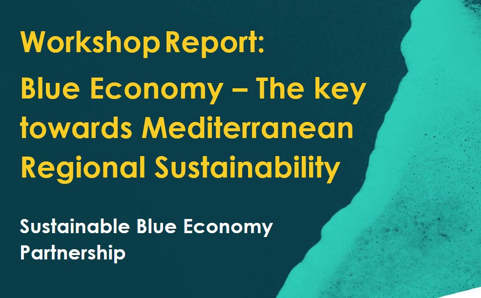 🔎Discover the results of the 1st regional workshop by the #SustainableBlueEconomyPartnership : 'Blue Economy – The key  towards #Mediterranean Regional Sustainability'!

Workshop held at #Posidonia2024 in Athens with high level policy makers and practitioners aimed at defining