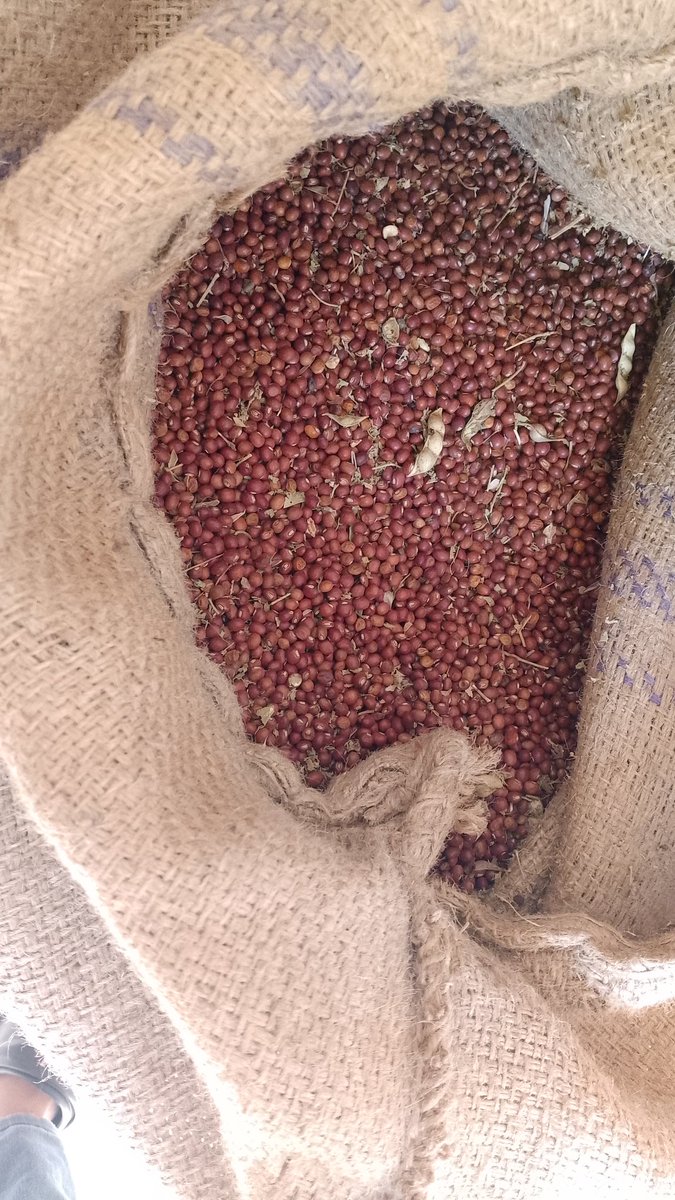 السنه الفاتت قدرنا نعمل 150 حقيبه الرمضانيه ف ظروف انقطاع الشبكات ...💪 
المره دي ح نقدر نعملهم 300 حقيبه و ف اجمل انتصارات😍
انا م عارفه انشر اقول شنو بس يلا نجمع علشان نقدر نعمل الحقايب الرمضانيه لي السنه دي
و زي م عارفين انا من غيركم م بقدر اعمل اي شي
هيثم ميرغني احمد 
3005054