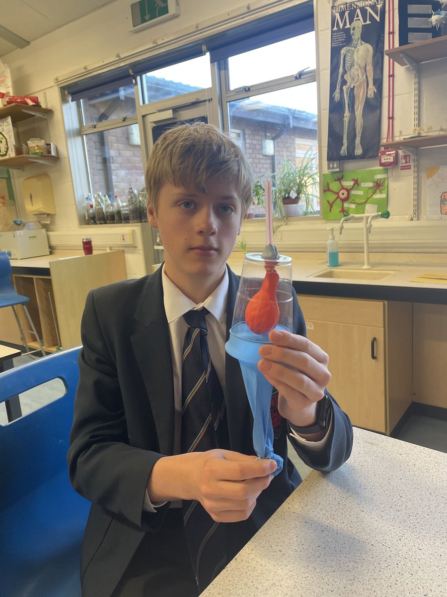 dare to learn with a' hands on' approach.  Students in teaching group 8L had fun making model lungs and evaluating the design as part of the year 8 respiration and photosynthesis unit.  #tbgs #year8 #dare2be