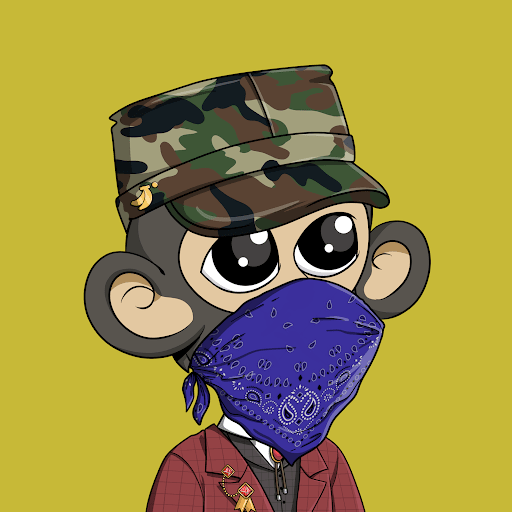 SkyChirp 🟠 tweet media