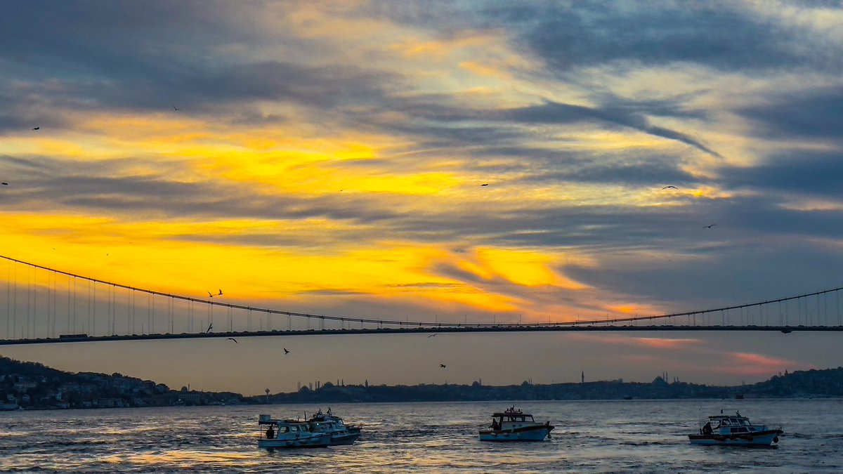 Ahu Öztürk tweet media