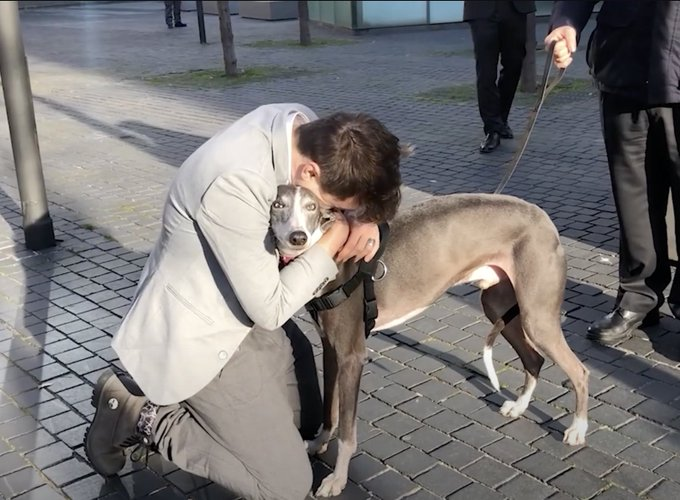 Bueno, tengo "malas" noticias.
Resulta que los 10 días eran días laborables y no naturales.
Es decir, que no vería a mi perro esta semana, sino la próxima semana.

Ya esperar unos días más después de tantos años luchando por mi perro no pasa nada, pero sí que tengo demasiadas