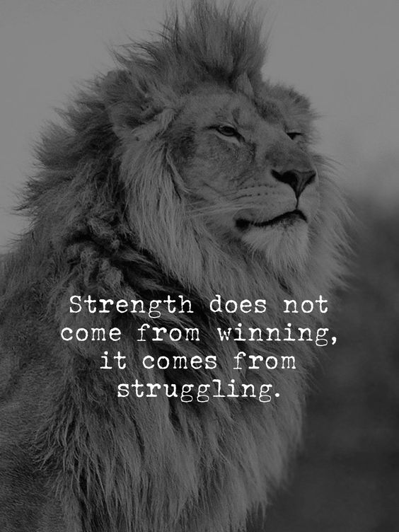 Mindful Maven (@mindfulmaven_) on Twitter photo 